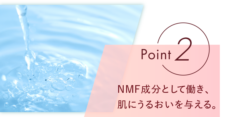 point2 NMF成分として働き、肌にうるおいを与える。