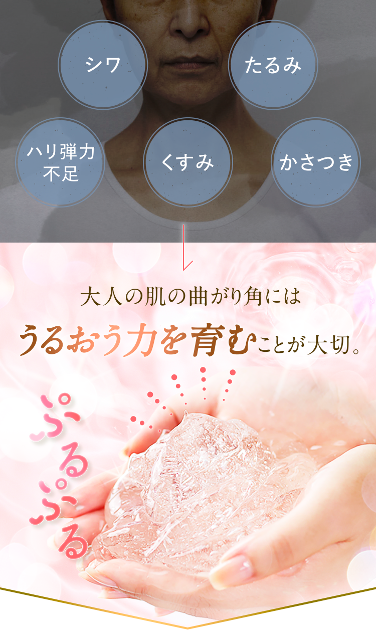 大人の肌の曲がり角にはうるおうちからを育むことが大切