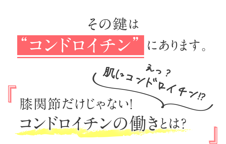 膝関節だけじゃない！コンドロイチンの働きとは？