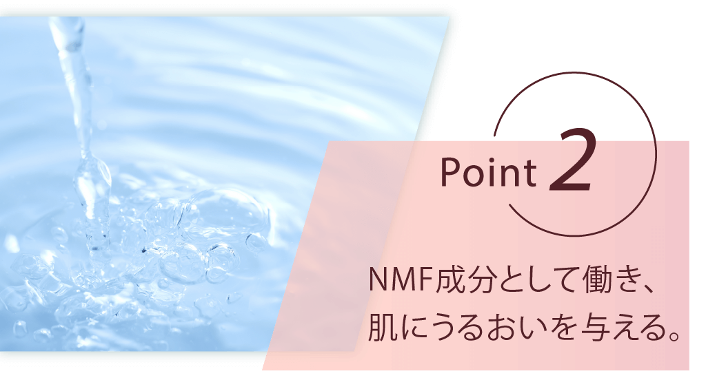 point2 NMF成分として働き、肌にうるおいを与える。