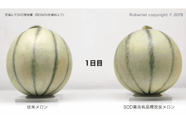 室温にて24日間放置