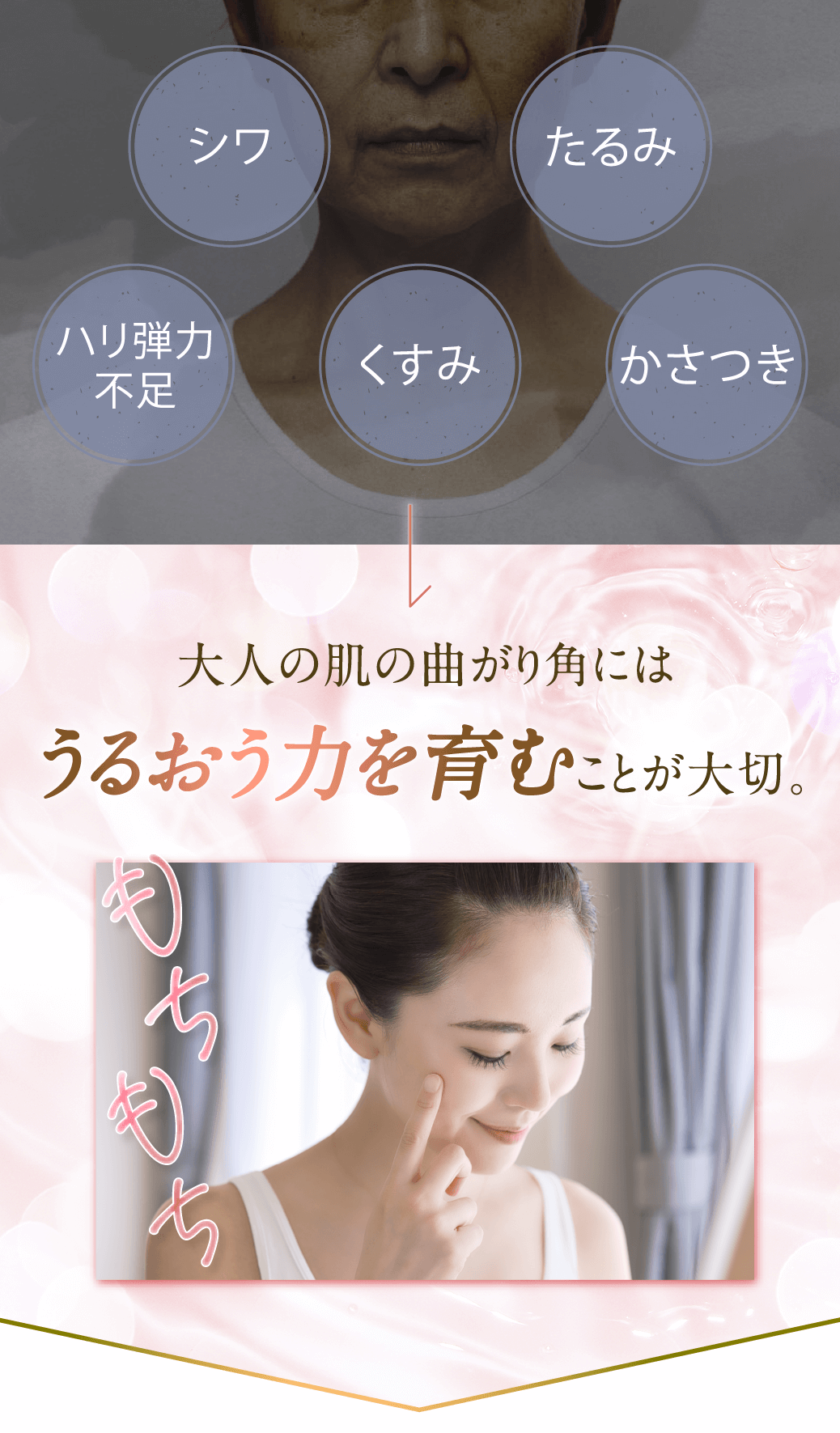 大人の肌の曲がり角にはうるおうちからを育むことが大切