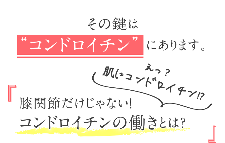 膝関節だけじゃない！コンドロイチンの働きとは？