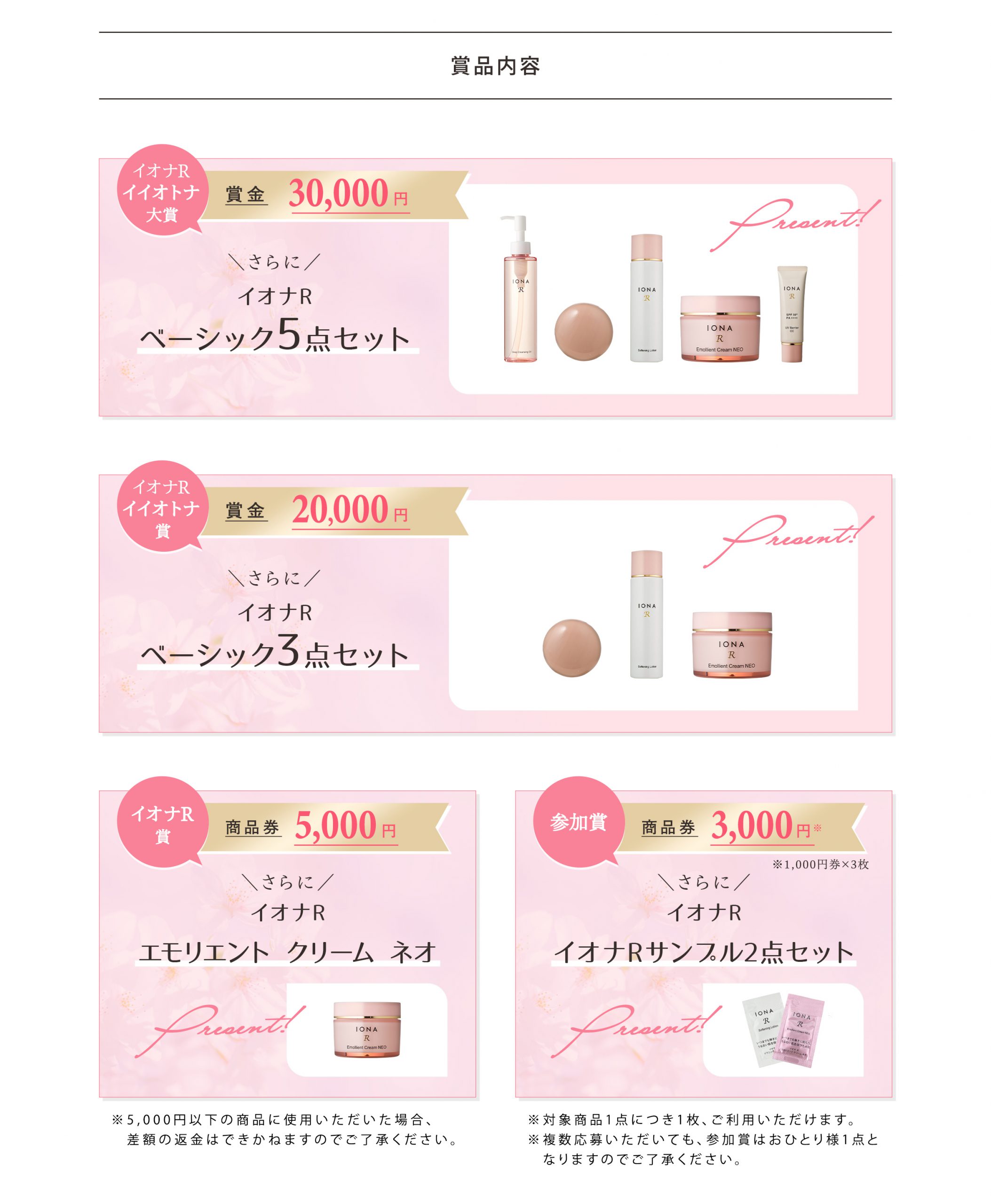 セットアップ IONA イオナR サンプル gruponebraska.com.br